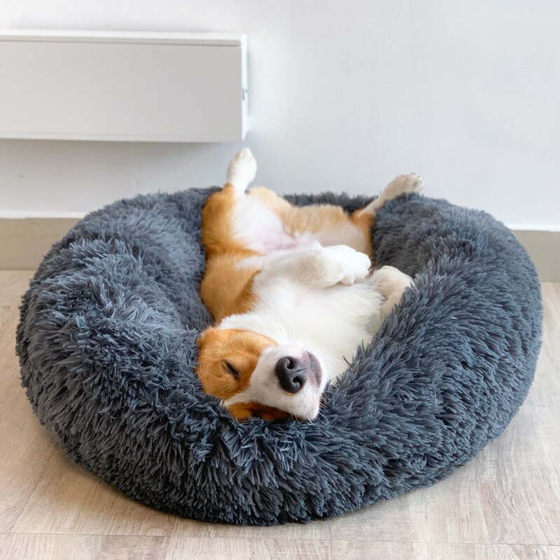 Cama Nuvem Pets Conforto