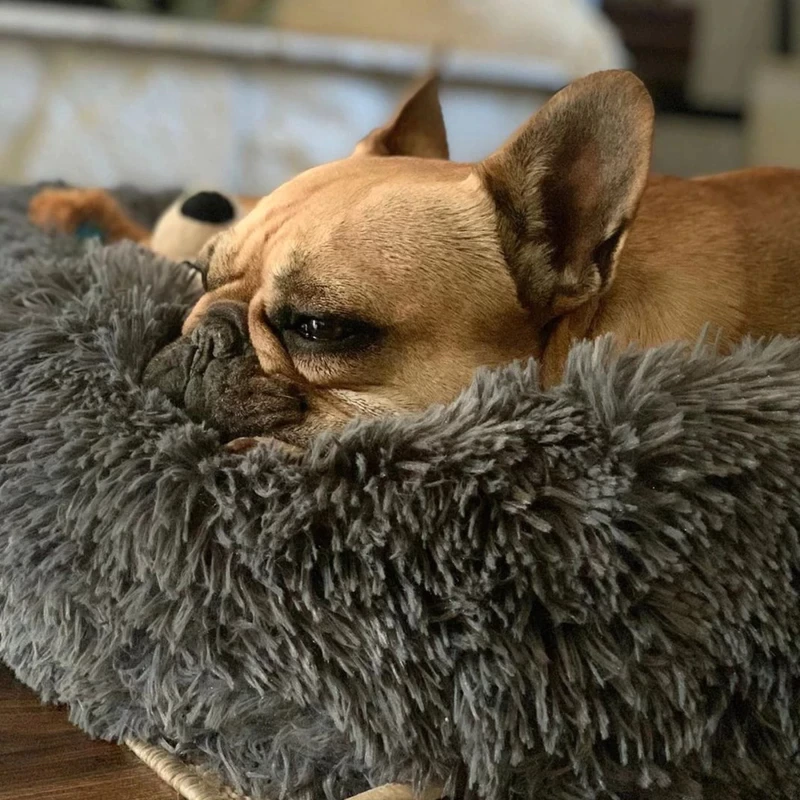 Cama Nuvem Pets Conforto