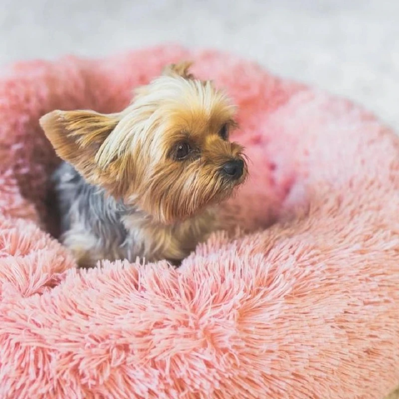 Cama Nuvem Pets Conforto