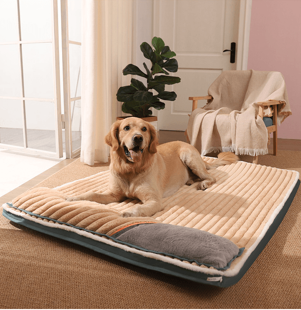 Cama Grande Aladdin®