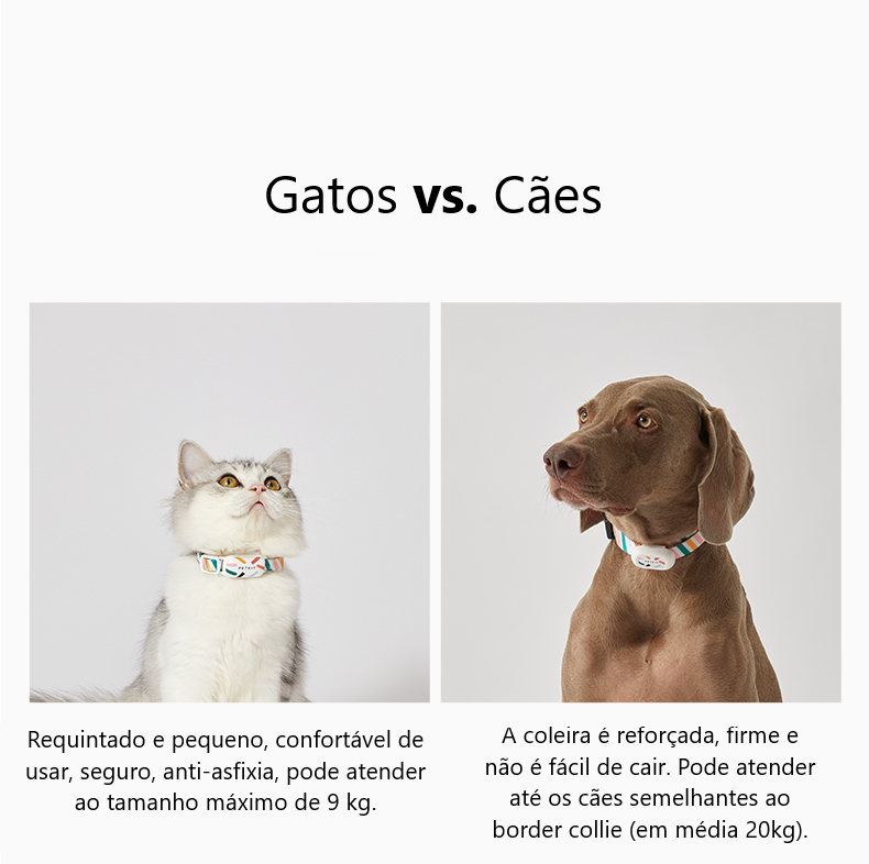 Coleira Inteligente Rastreável com Monitoramento de Saúde - PetSafe