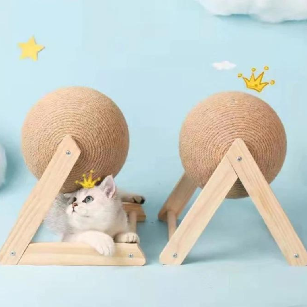 Brinquedo Arranhador Esfera