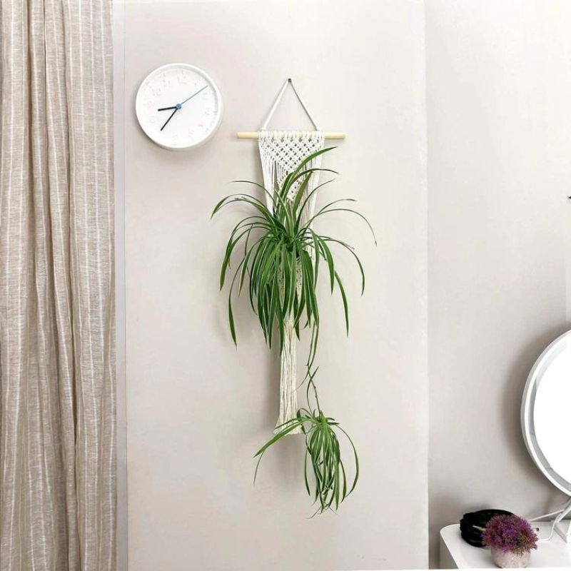 Suporte de plantas boho
