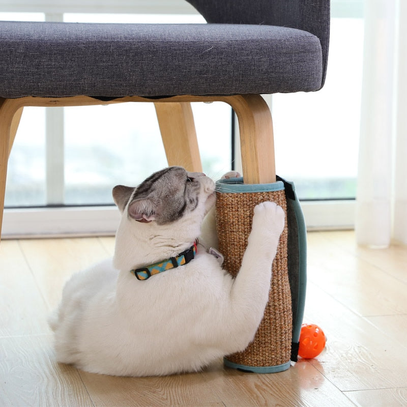 Brinquedo Esteira Arranhador para Gatos Hart