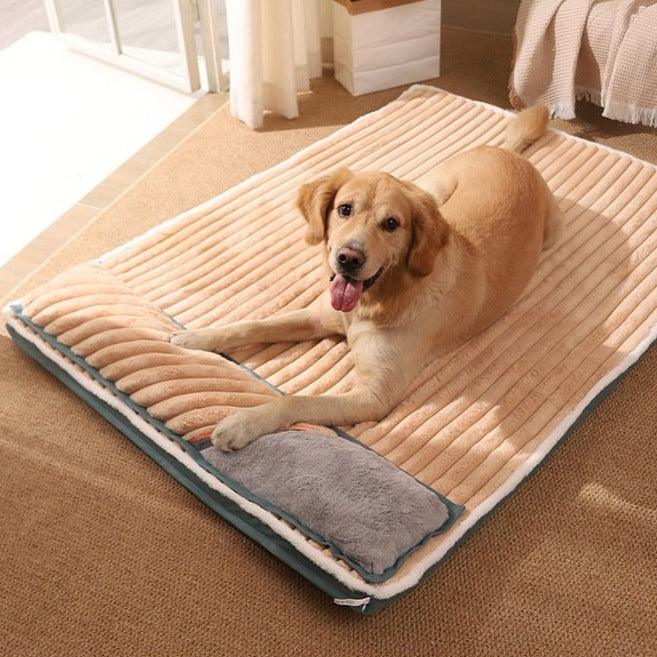Cama Grande Aladdin®