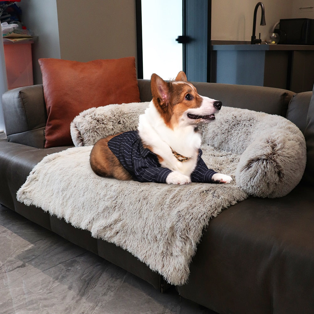 Sofá-cama para Pet Majestade®