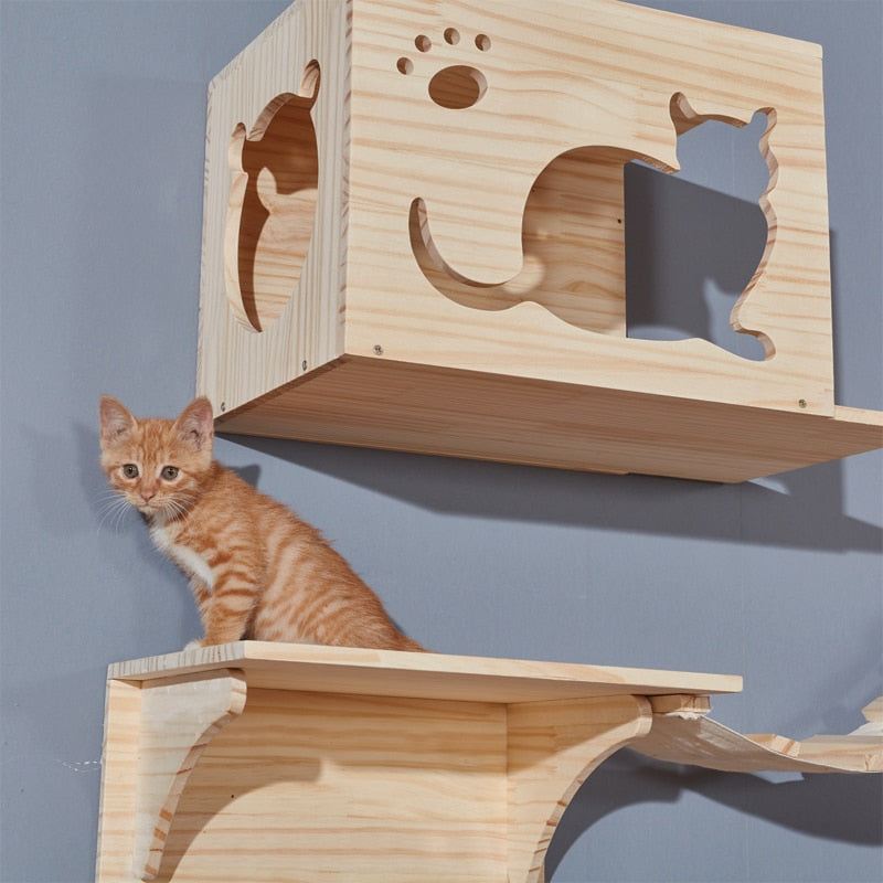 Plataformas para Gatos Escalada