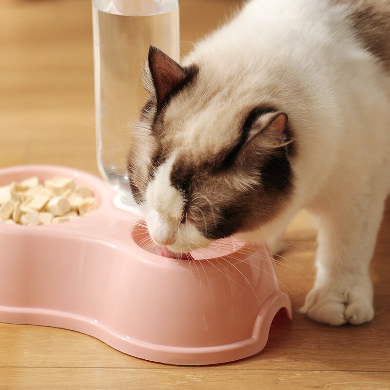 Dispenser Ração e Água KIMPETS para Gatos