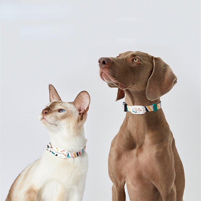 Coleira Inteligente Rastreável com Monitoramento de Saúde - PetSafe