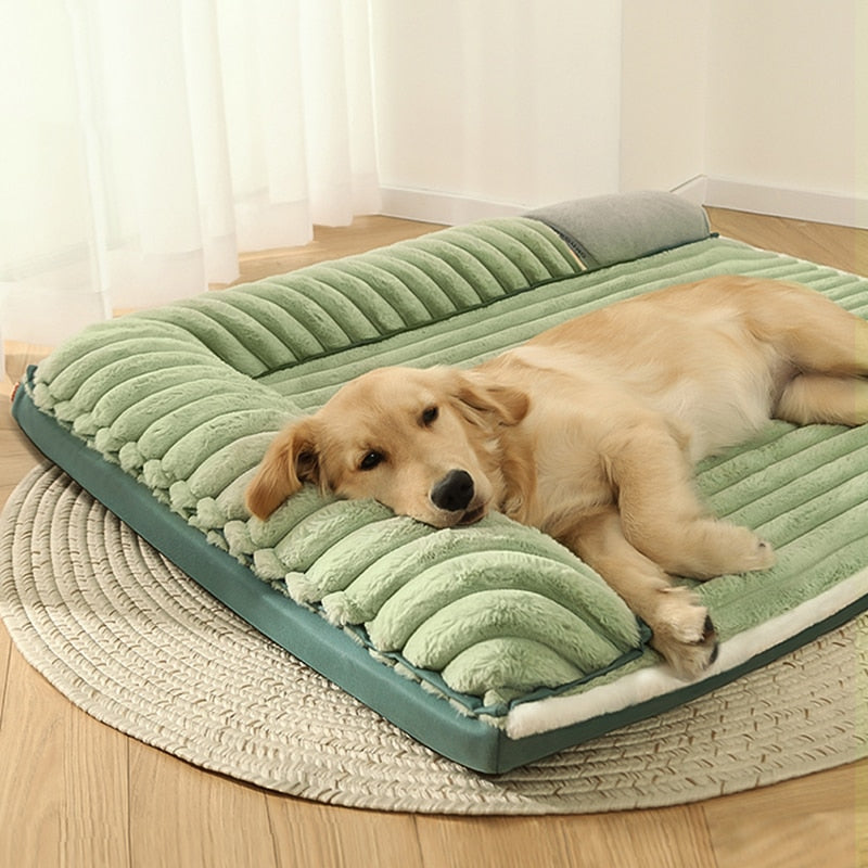 Cama Grande Petbo New