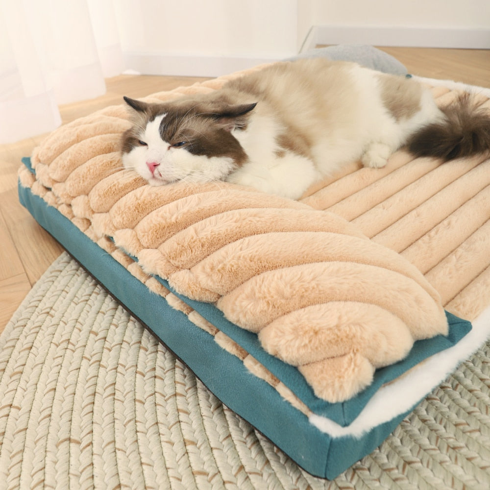 Cama Grande Petbo New