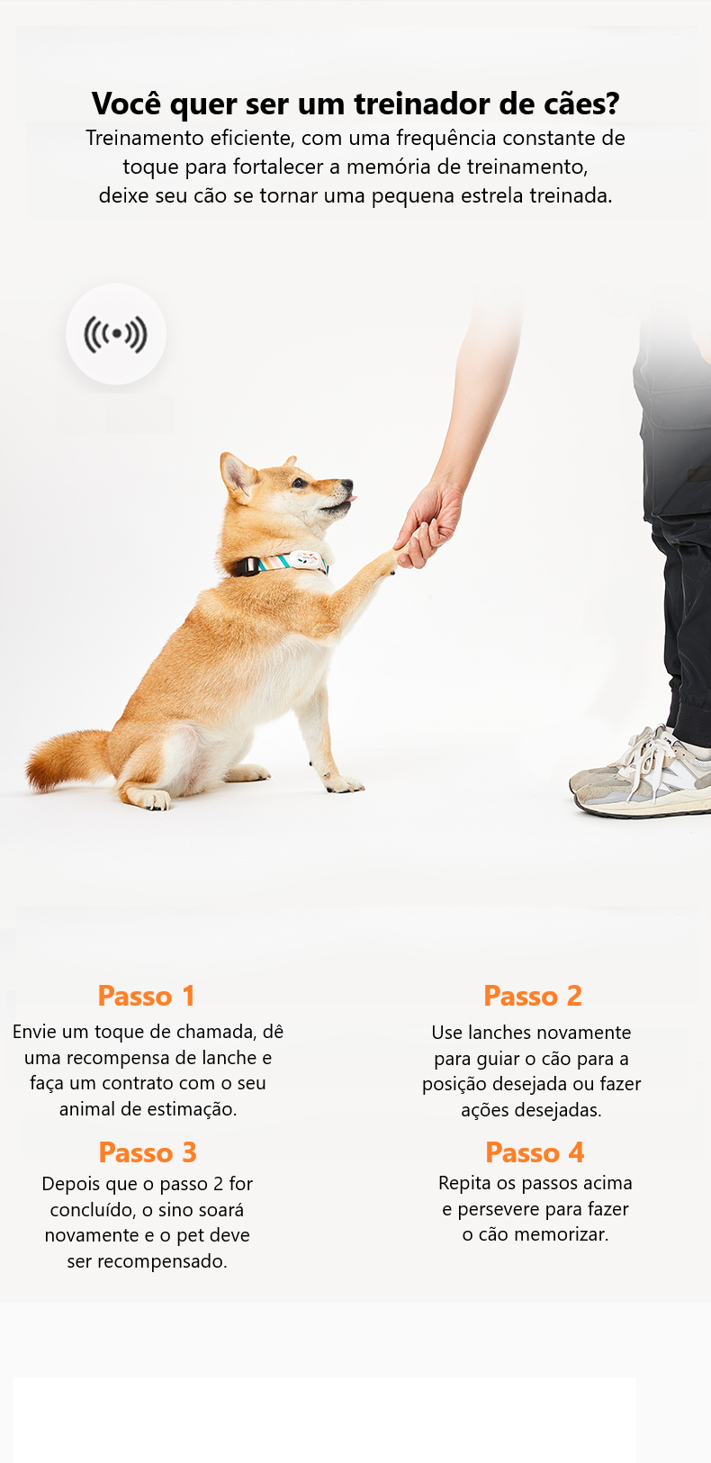 Coleira Inteligente Rastreável com Monitoramento de Saúde - PetSafe