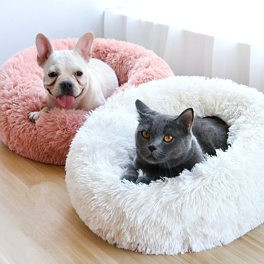 Cama Nuvem Pets Conforto