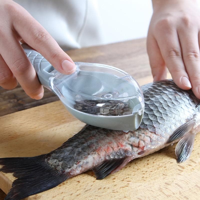 Removedor de Escamas de Peixes